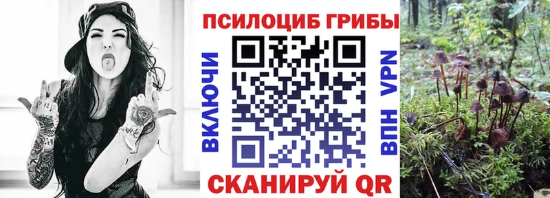 Псилоцибиновые грибы Magic Shrooms  продажа наркотиков  Спас-Деменск 
